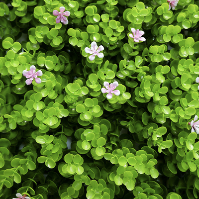 100*100 CM Durable Artificial Plant Wall Panel 3D Synthetic Landscape For Indoor