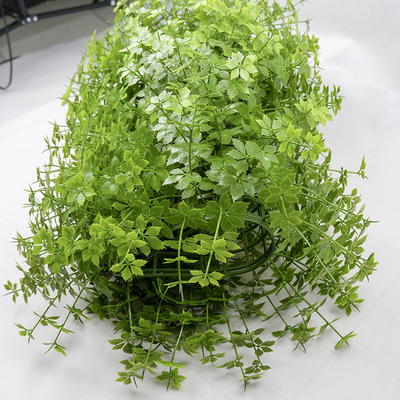 PE Plastic Plants Artificial Bush Wall 50*50cm For Home Decorative