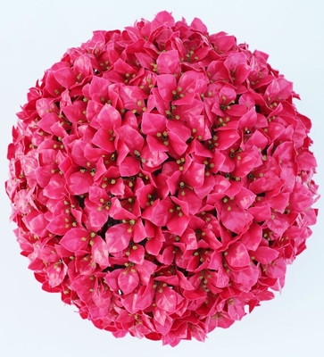 UV Protected PE Faux Boxwood Topiary Balls 17 Inch