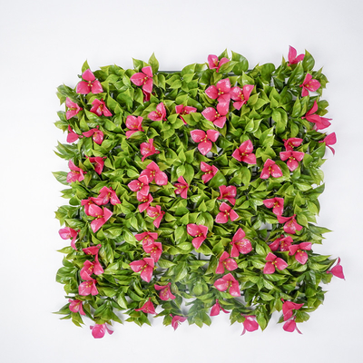 Multi Usage Artificial Boxwood Panels PE Ecofriendly Plastic Plant Wall Hedge