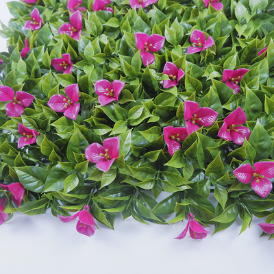 Multi Usage Artificial Boxwood Panels PE Ecofriendly Plastic Plant Wall Hedge