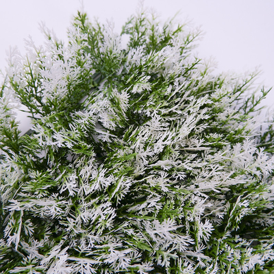 Anti UV Greenery Artificial Green Wall For Indoor And Outdoor Decoration