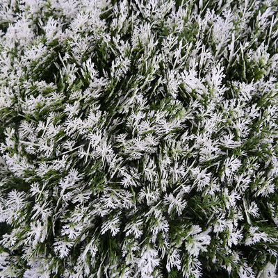 Anti UV Greenery Artificial Green Wall For Indoor And Outdoor Decoration