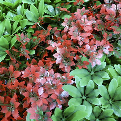 Customized Decorative Artificial Green Walls Plant Panel 20mm Plastic Foliage For Hedge