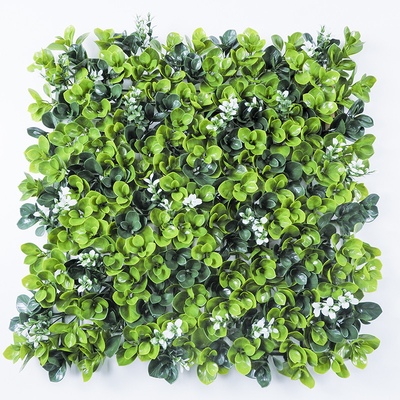 PE Plastic Artificial Plant Synthetic Wall Ornaments 50*50Cm Grass Hedge