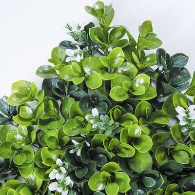 PE Plastic Artificial Plant Synthetic Wall Ornaments 50*50Cm Grass Hedge