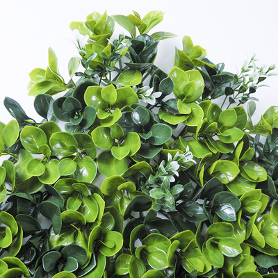 PE Plastic Artificial Plant Synthetic Wall Ornaments 50*50Cm Grass Hedge